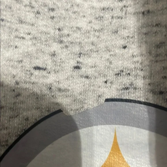 Gray Athletic Shorts with Elastic Waistband and Team Logo NWOT - Picture 3 of 7